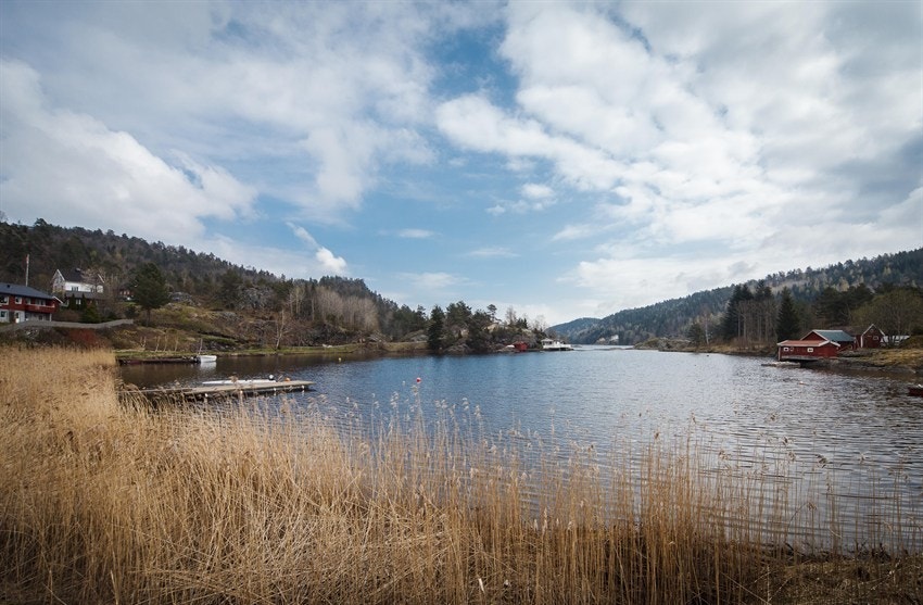 _MG_9037 Galleribilde