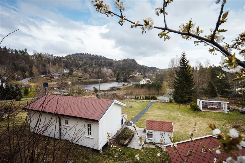 _MG_8977 Galleribilde