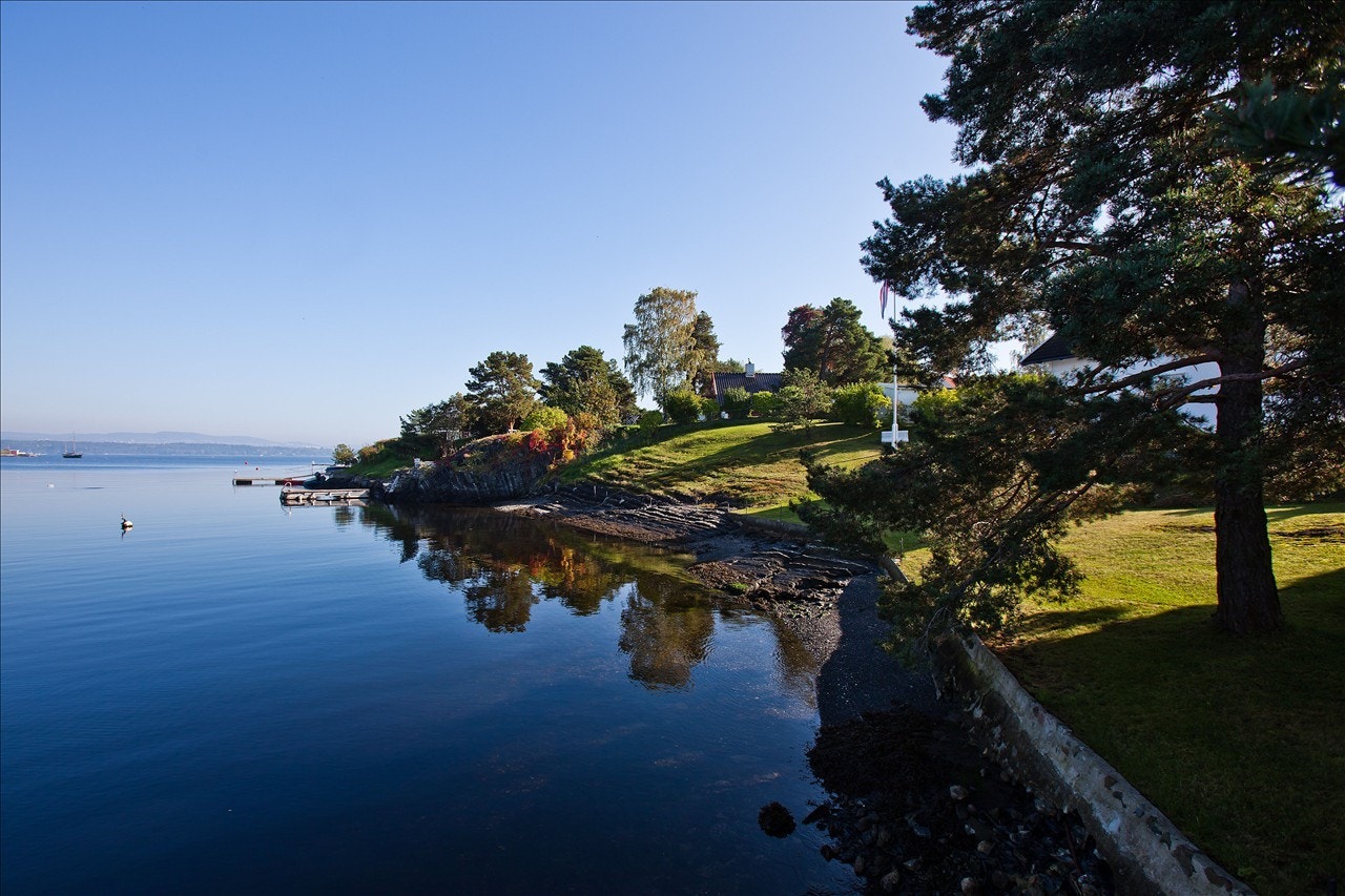 Bilde av tomten Galleribilde