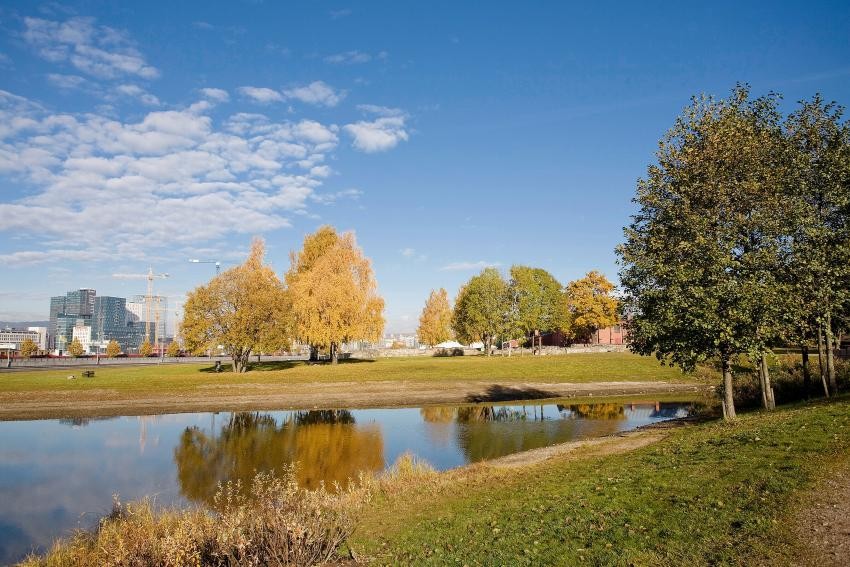 Idylliske Middelalderparken Galleribilde