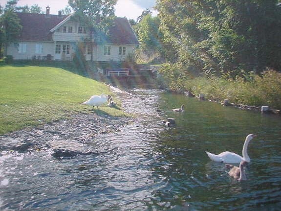 Sett fra sjøen Galleribilde