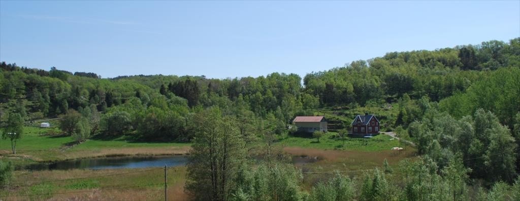 Fasade_23 Galleribilde