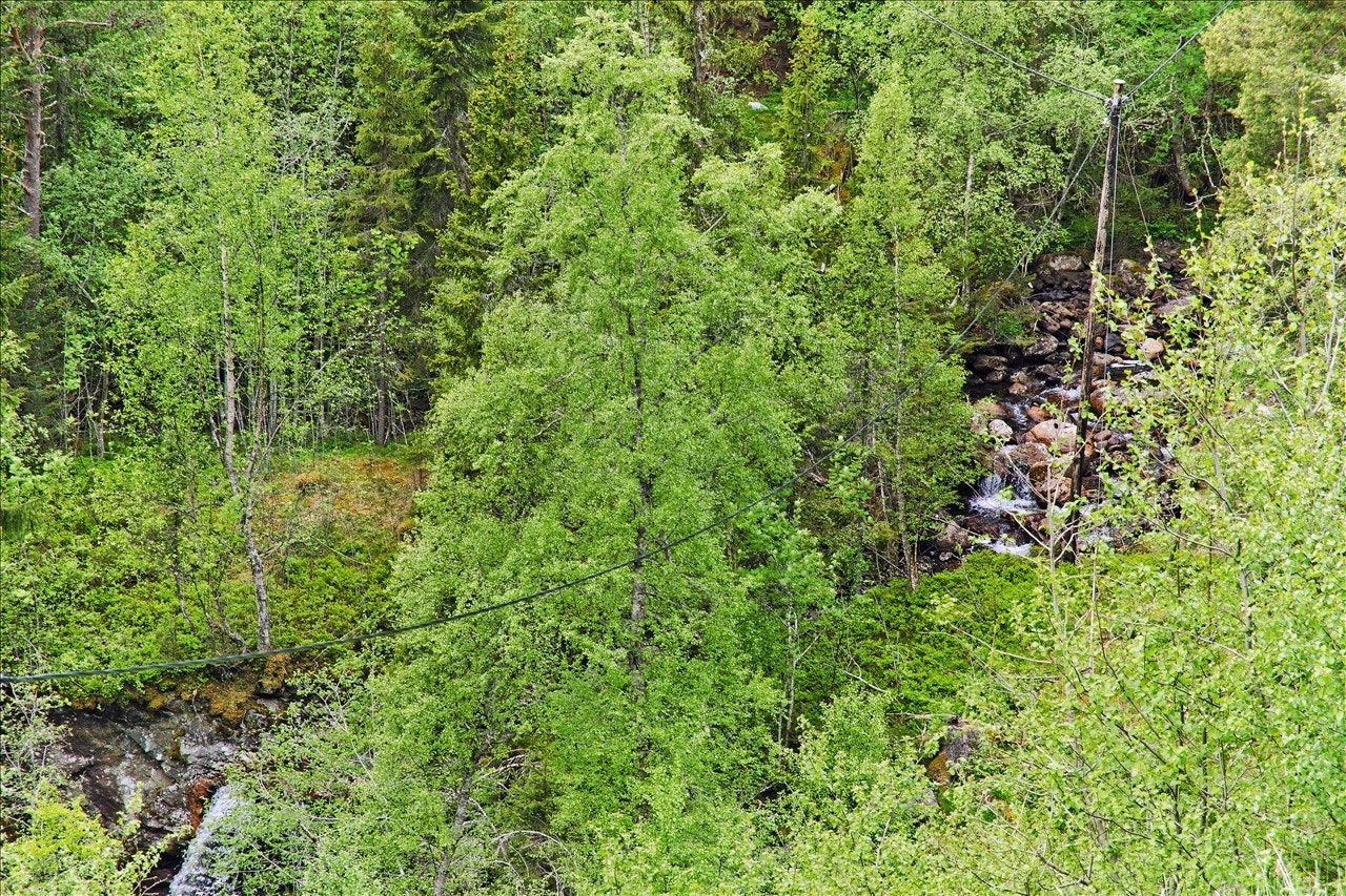 Naturskjønne omgivelser Galleribilde