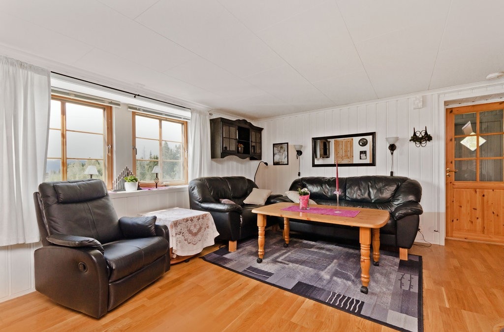 Stue sokkel Galleribilde