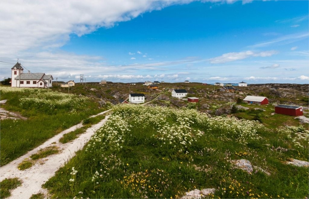 Sauøya_Område-3 Galleribilde