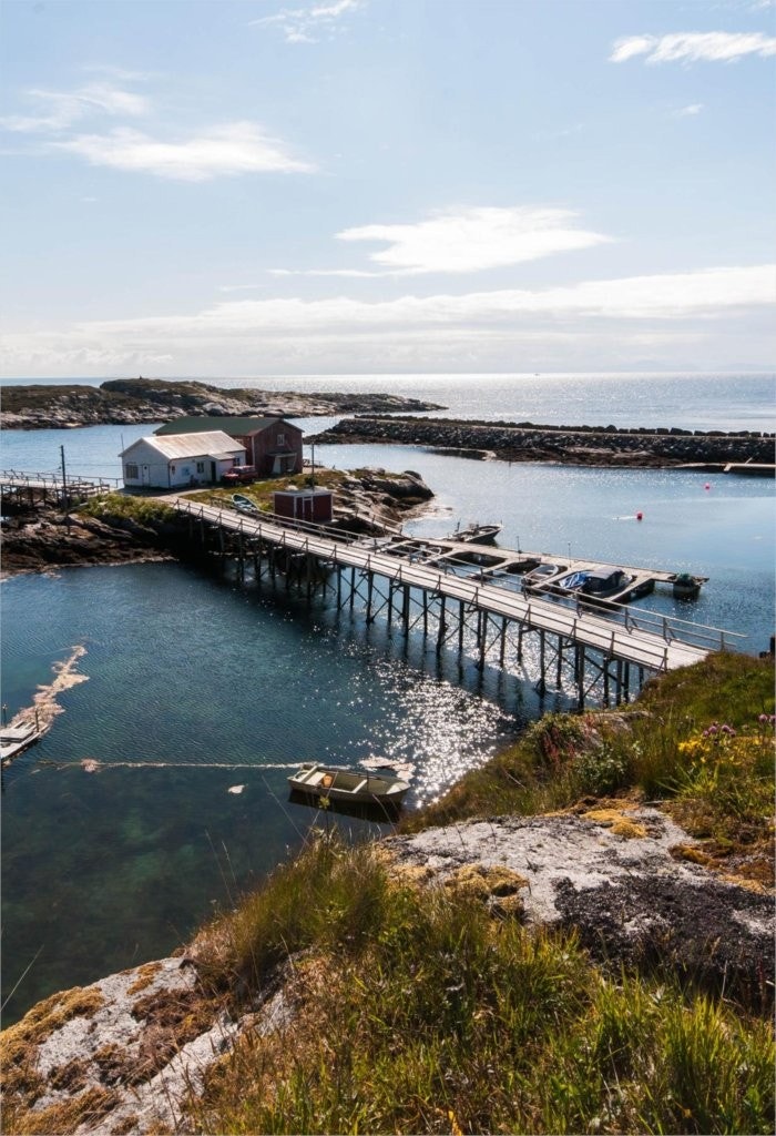 Sauøya_Havneområde høyde Galleribilde