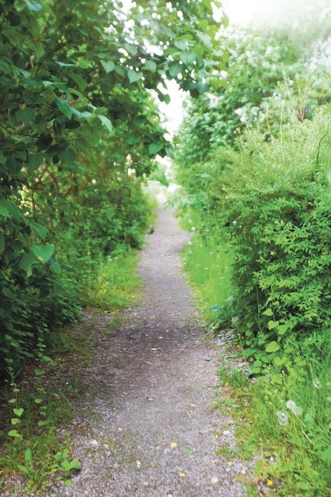 Nærområde. Galleribilde