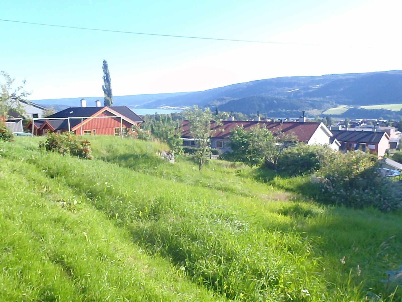 Utsikt fra hage Galleribilde