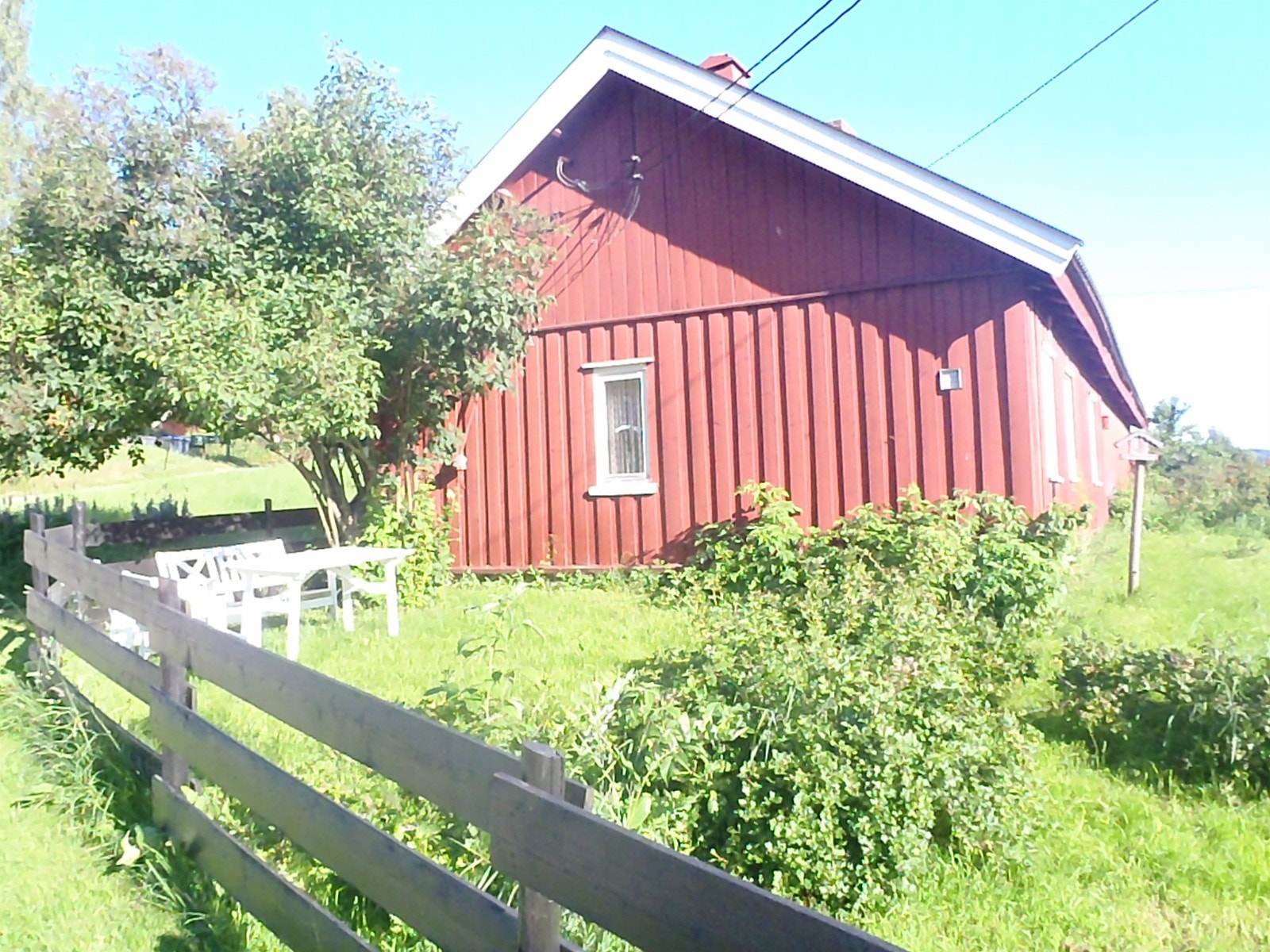 Hus sett fra nord, med hage. Galleribilde