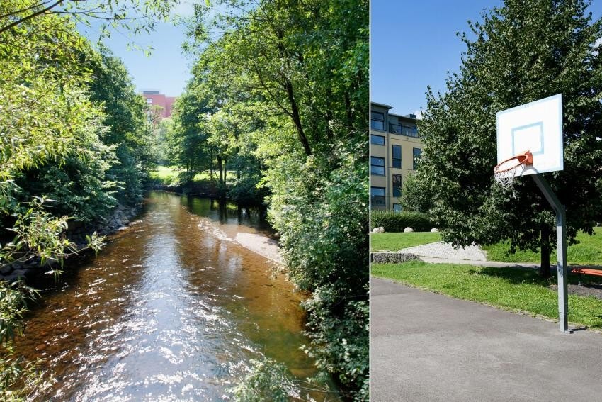 Inntrykk fra nærområdet Galleribilde