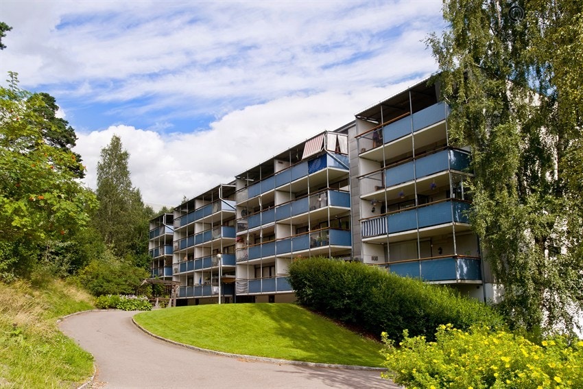 Hovedbilde Galleribilde