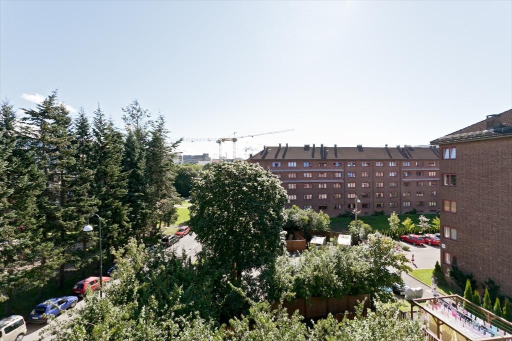 uteomrade-2 Galleribilde