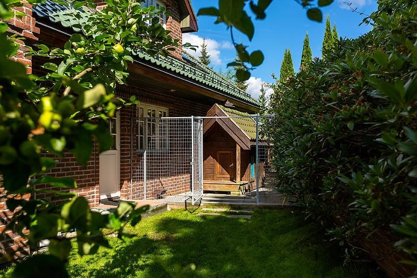 Hundegård Galleribilde