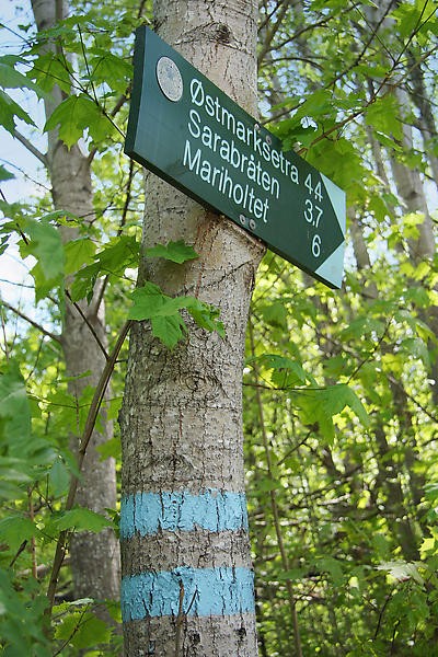 Marka i umiddelbar nærhet Galleribilde