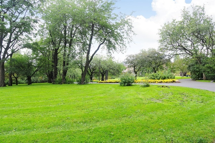 omrade1 Galleribilde