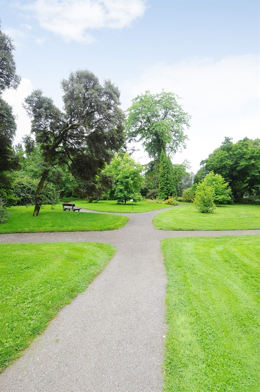 omrade2 Galleribilde