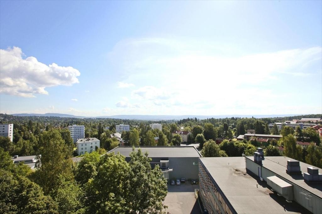 Fantastisk panoramautsikt Galleribilde