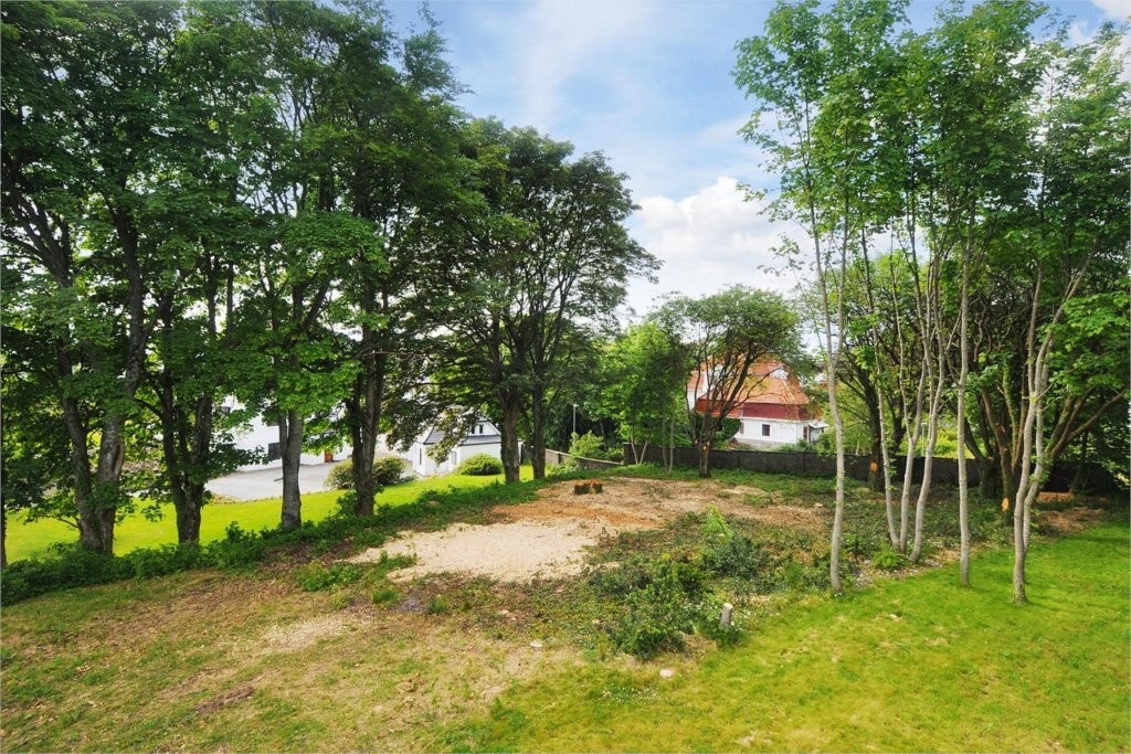 Mastfoto Galleribilde