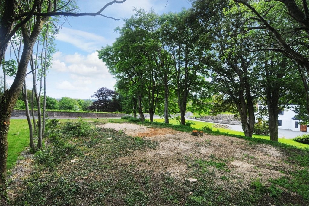 Mastfoto Galleribilde