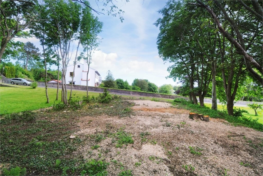 Mastfoto Galleribilde