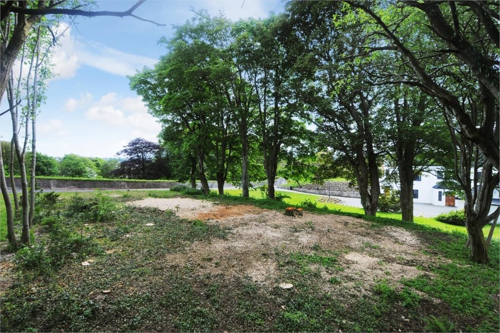 Mastfoto Galleribilde