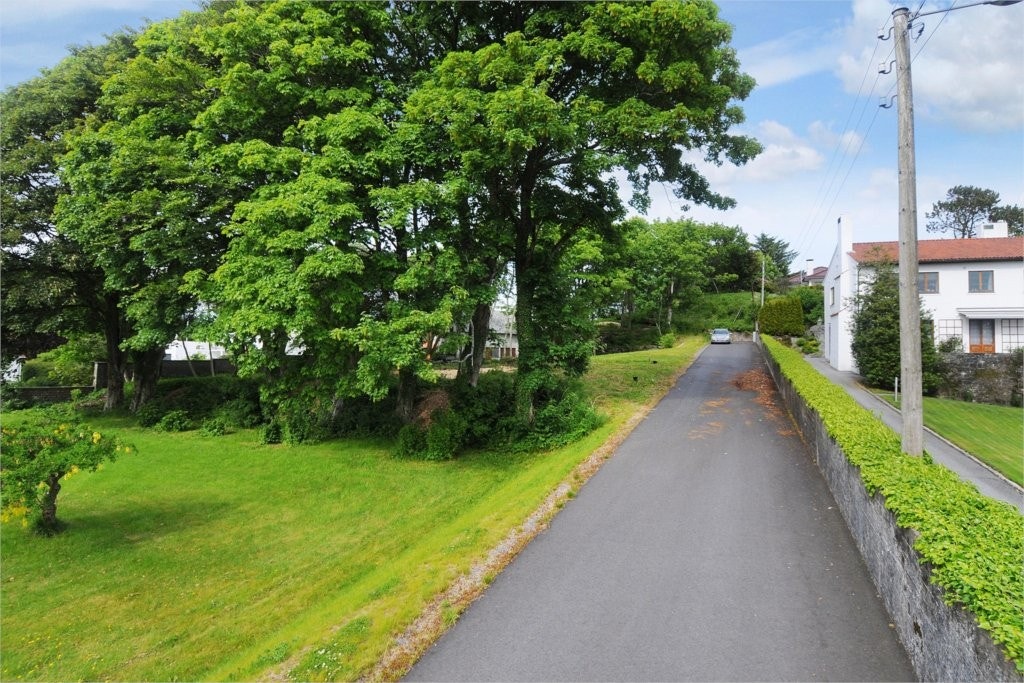 Nærområde Galleribilde