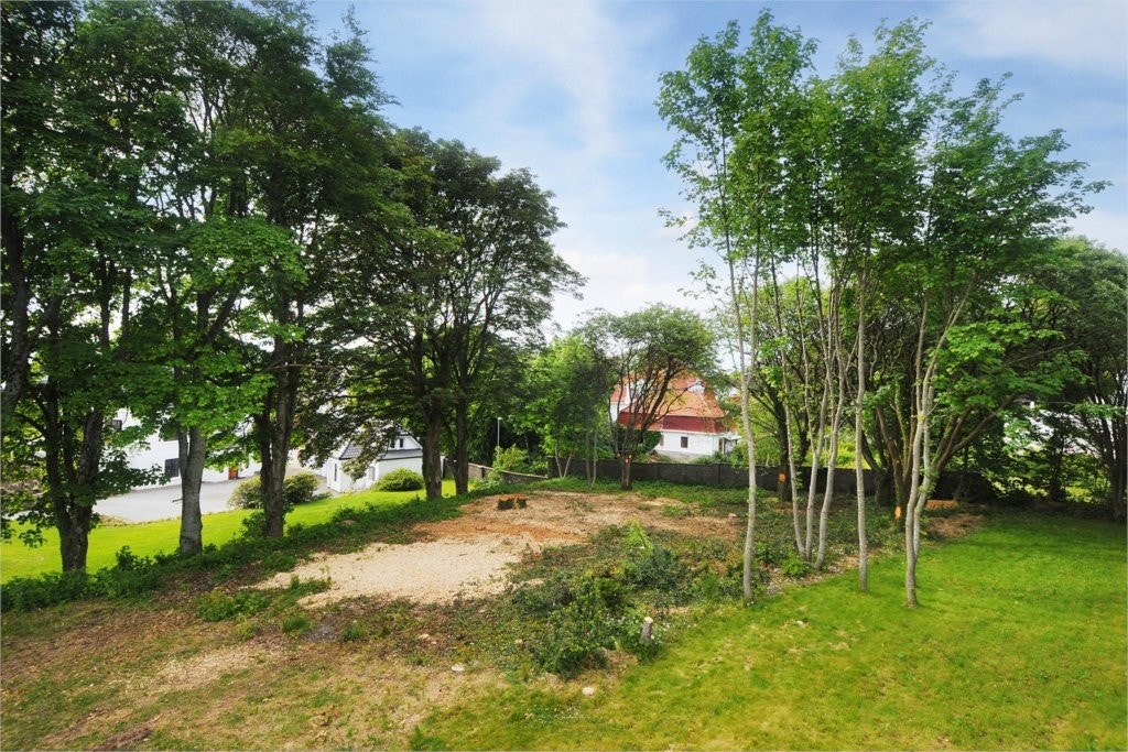 Mastfoto Galleribilde