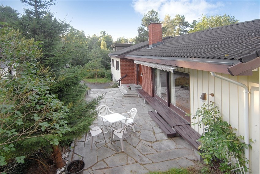 Mastfoto Galleribilde