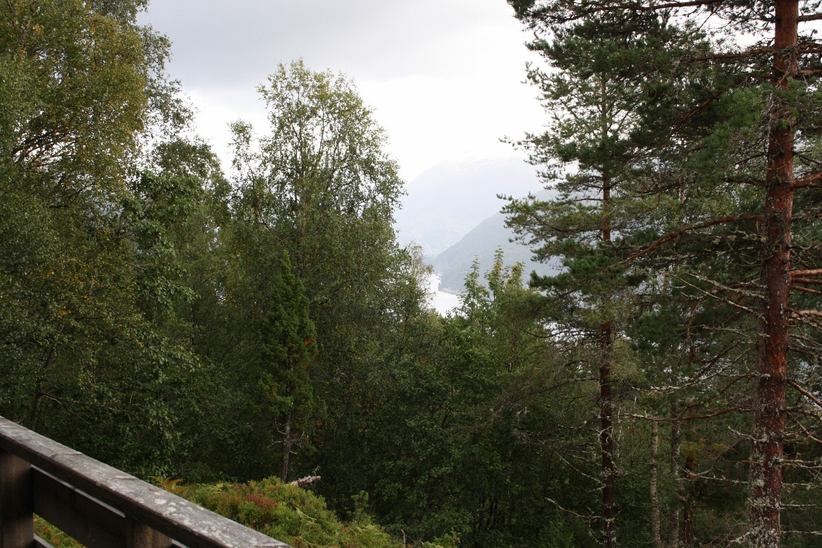 Utsikt mot aust frå terrassen. Trea kan fellast for å opne for utsikten og brukast til ved. Galleribilde