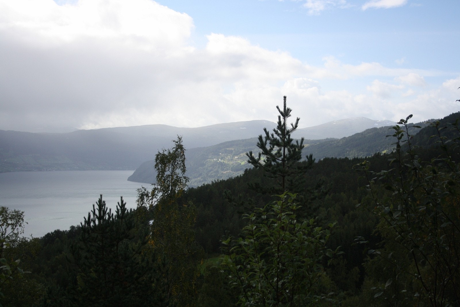 Utsikt 1 mot vest på veg til hytta Galleribilde