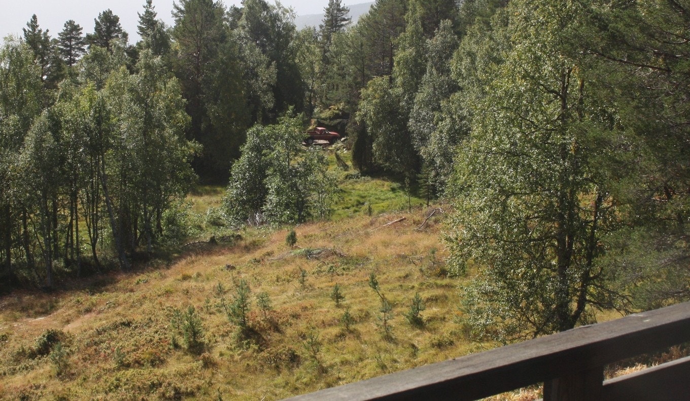 Avstand frå hytta til parkering Galleribilde