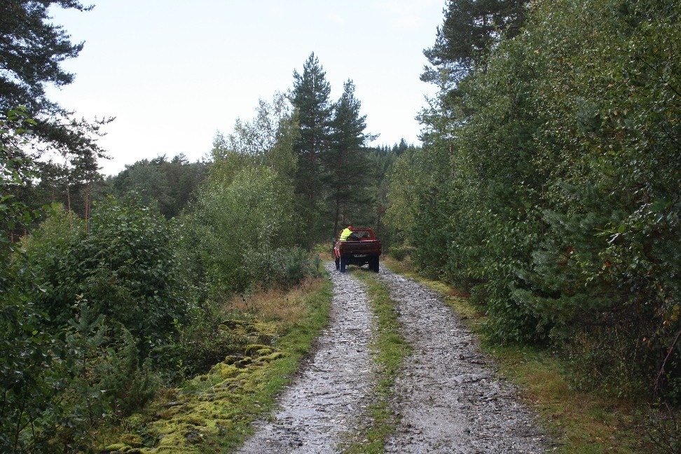 Skogsbilveg til hytta i relativt "pent" parti. Bilen må ha god bakkeklaring - treng ikkje vere 4-hjulstrekk Galleribilde