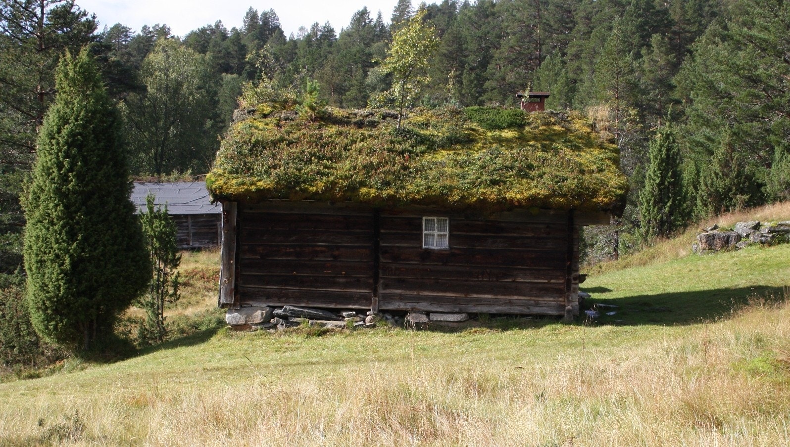 Nabolaget på støylen 3 - omlag 100 meter frå hytta Galleribilde