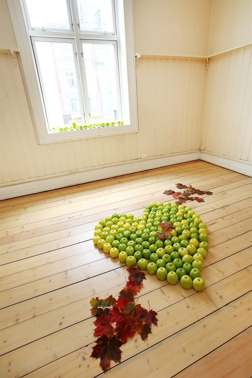 soverom Galleribilde