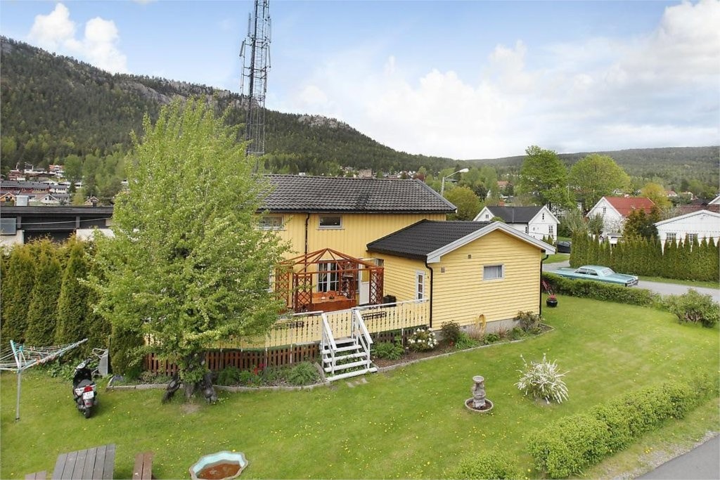 Mastfoto Galleribilde