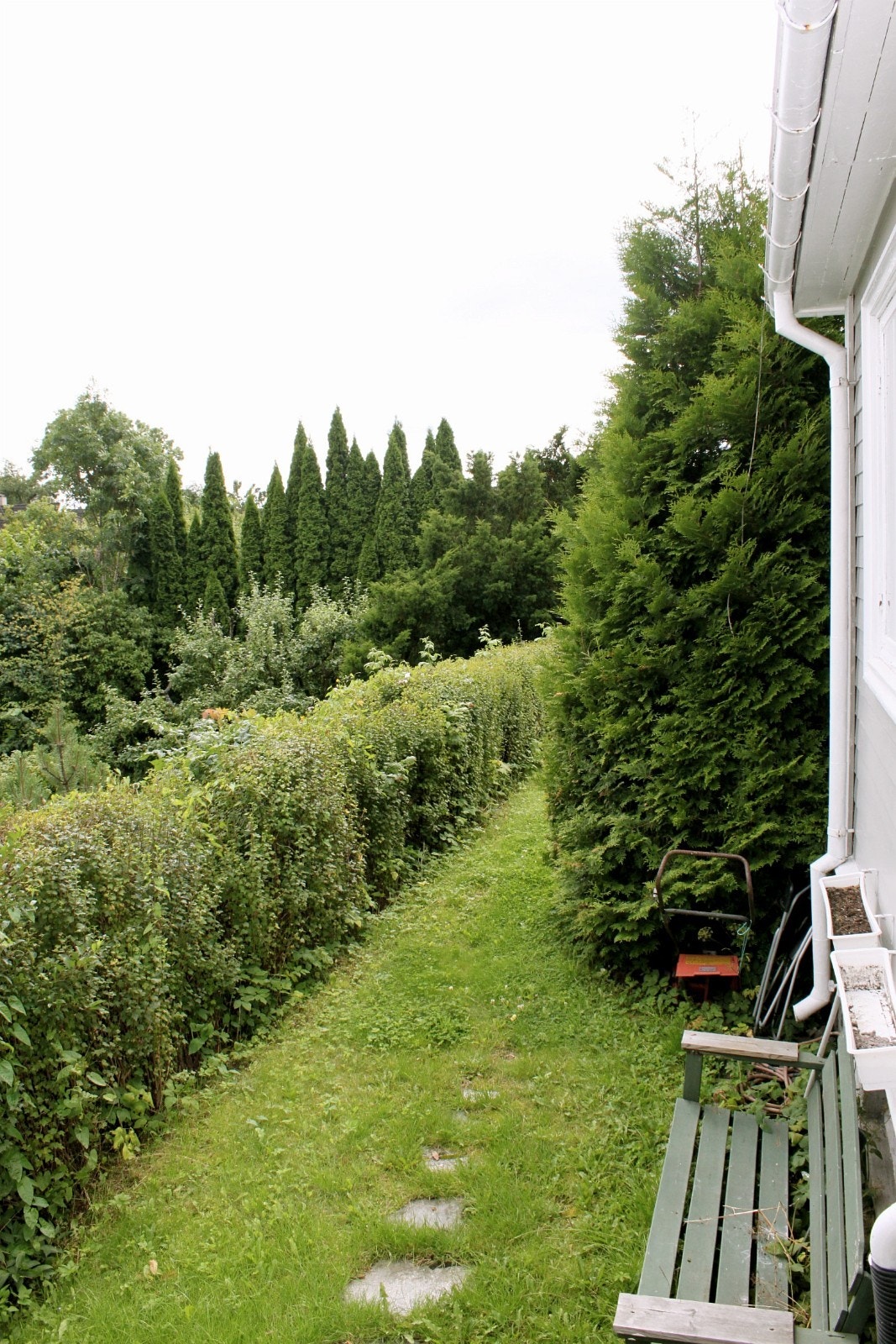 Sti til felleshagen Galleribilde