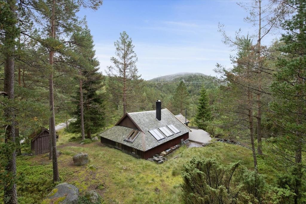 2_omrde Galleribilde