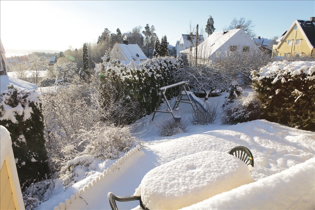 Stor have Galleribilde