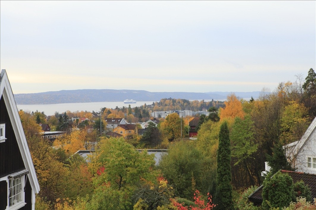 Utsikt fra soverom i 2 etg. Galleribilde