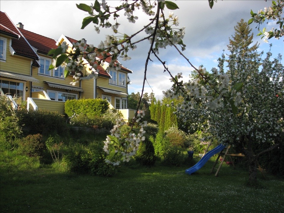 Stor have Galleribilde