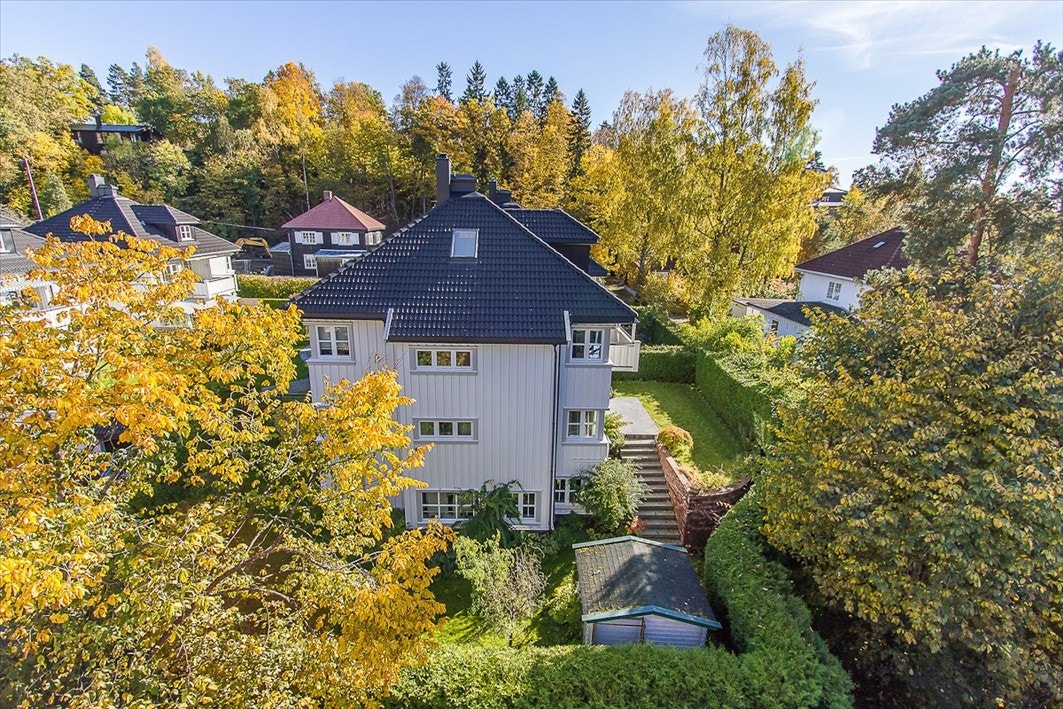 Bakhave Galleribilde