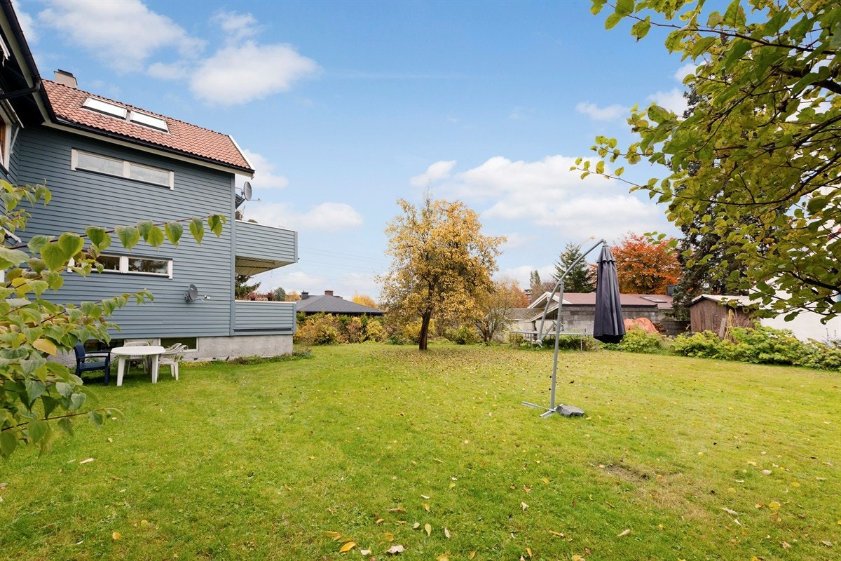 Flotte fellesarealer med sol store deler av dagen Galleribilde