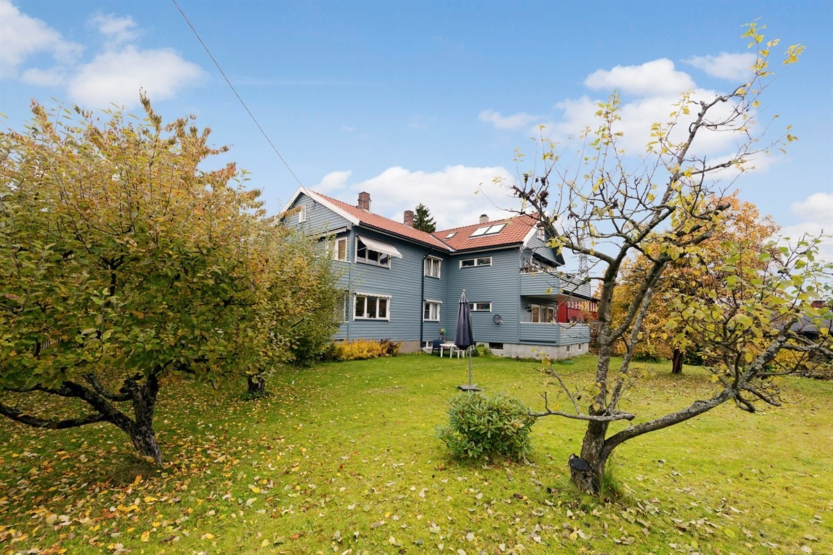 Grøntarealer med frukttrær og prydbusker Galleribilde