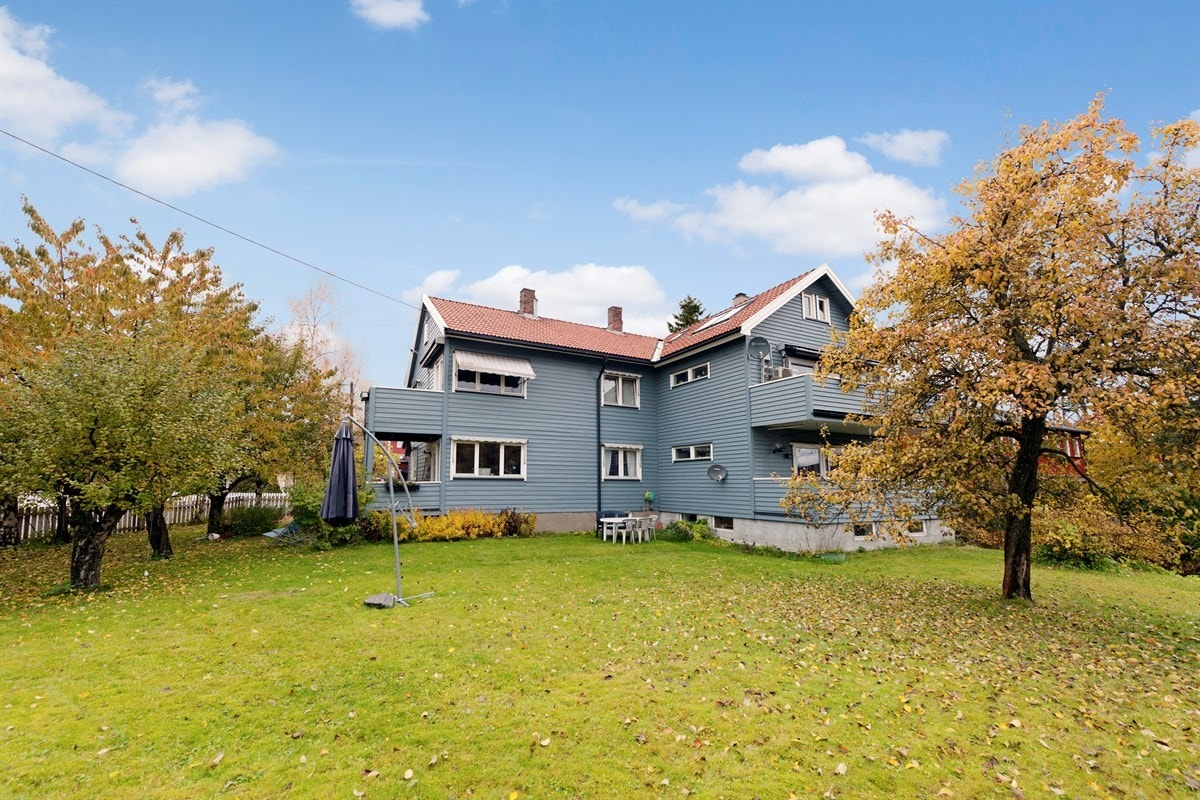 Grøntarealer med frukttrær og prydbusker Galleribilde