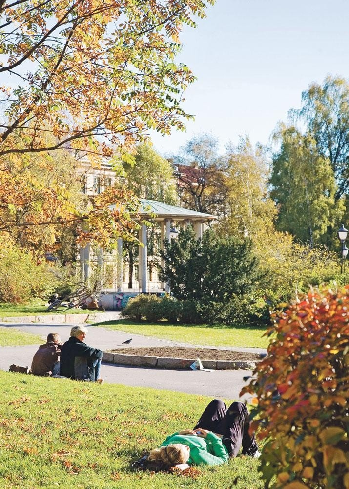 Birkelunden. Galleribilde