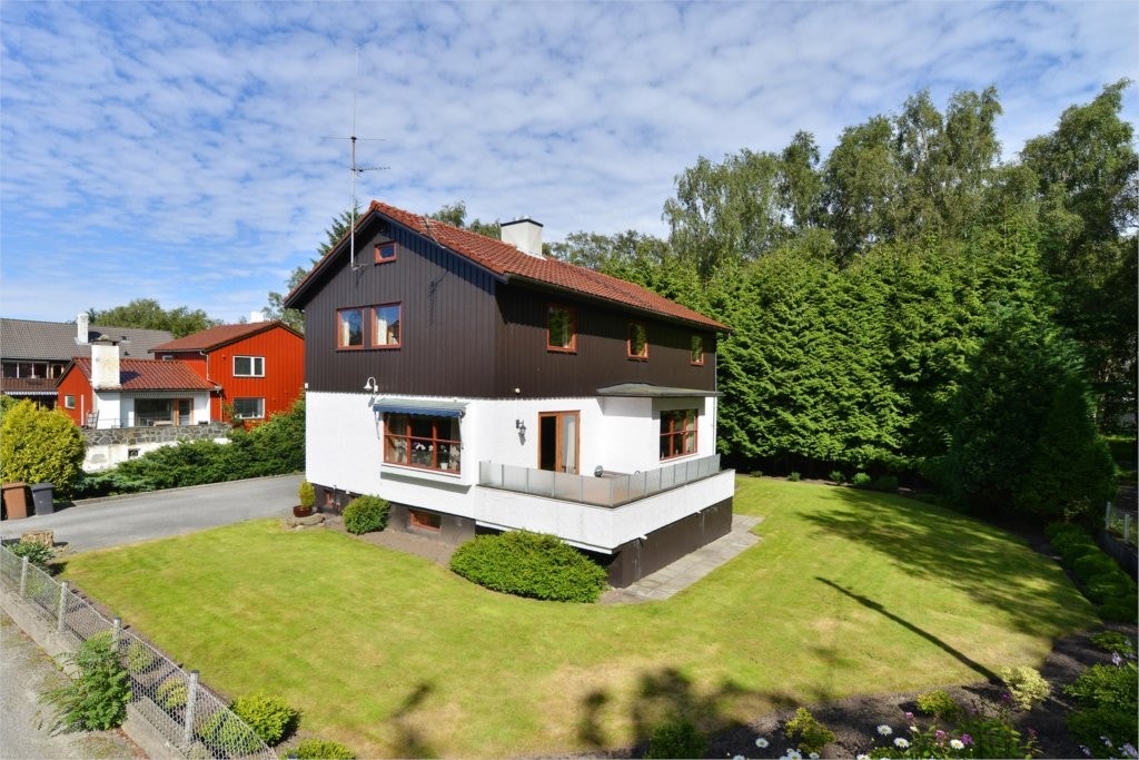 Hovedbilde Galleribilde