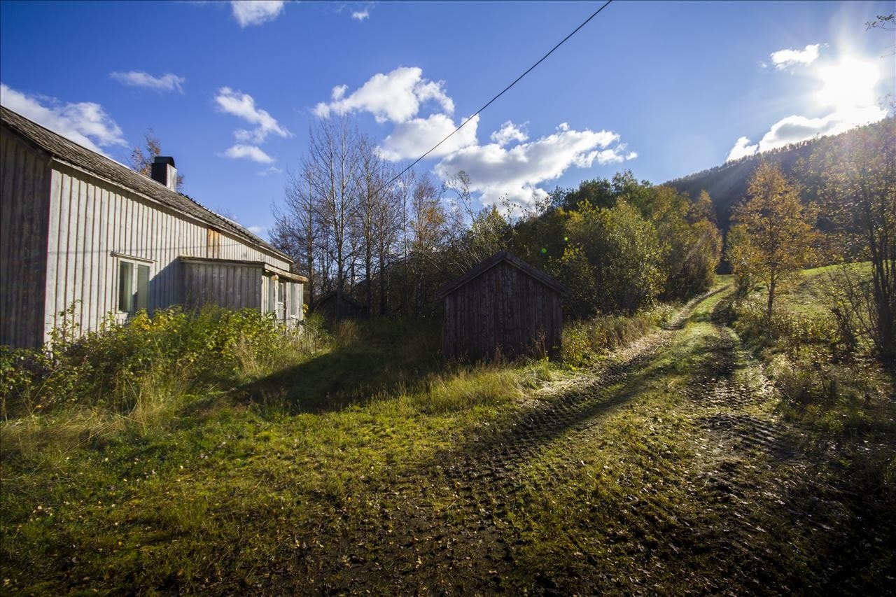 Område Galleribilde