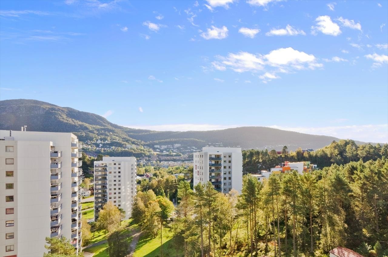 Fri utsikt fra altanen.. Galleribilde