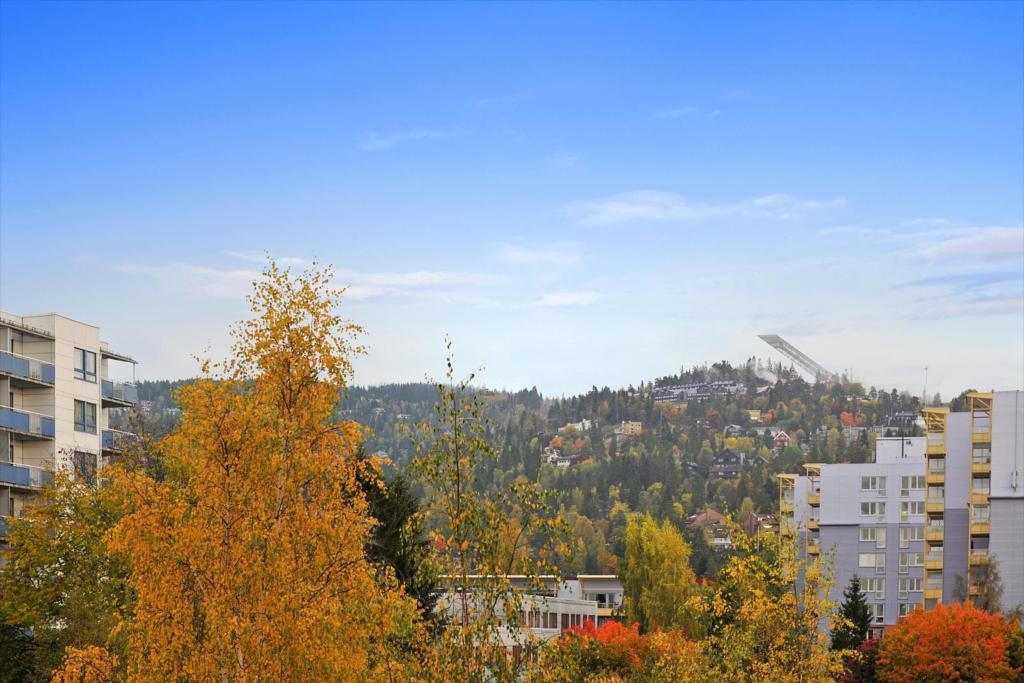 Hyggelig utsikt Galleribilde