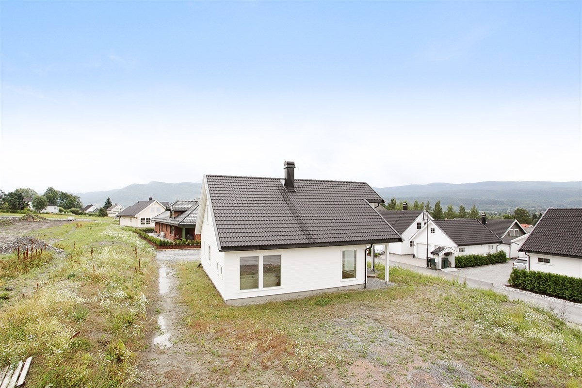 Mastfoto Galleribilde